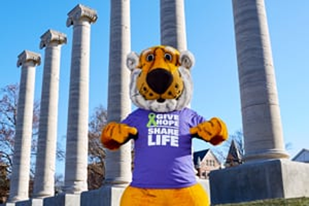 Truman the Tiger